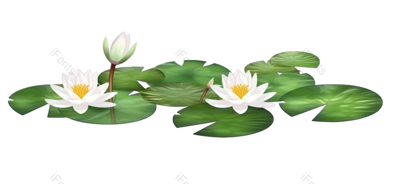 叶子图片,复古元素,中国风PNG,荷花免抠素材
